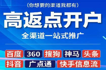 百度推广实战攻略：案例与策略